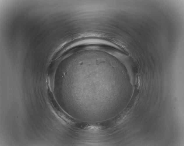 X0000067890352200604171343