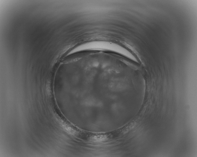 X0000067890353200604171343