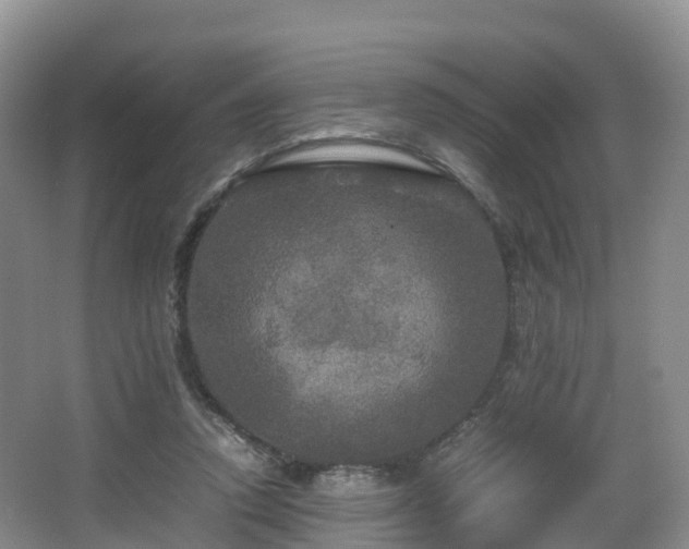 X0000067890354200604171343