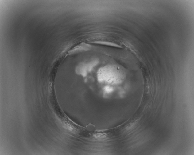 X0000067890355200604171343