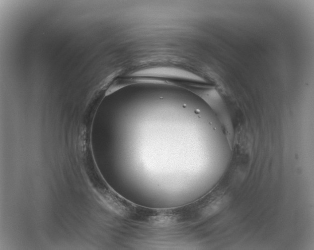 X0000067890356200604171343