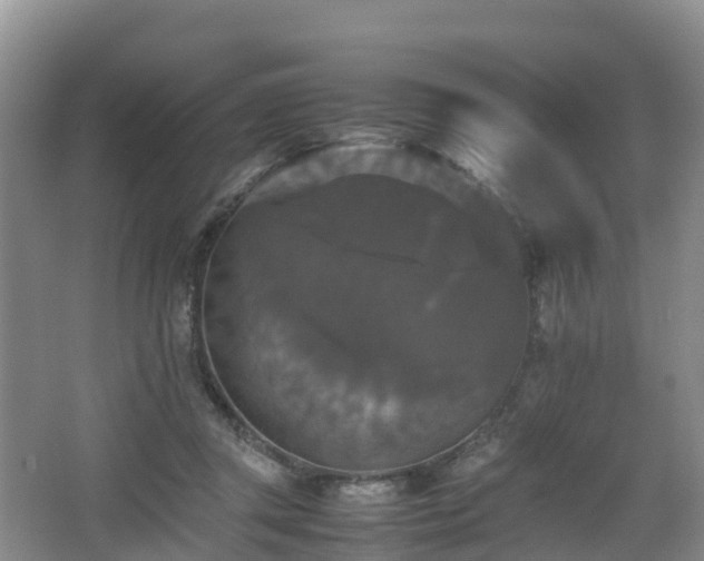 X0000067890357200604171343