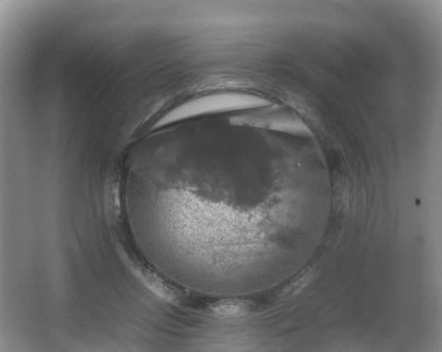 X0000067890358200604171343