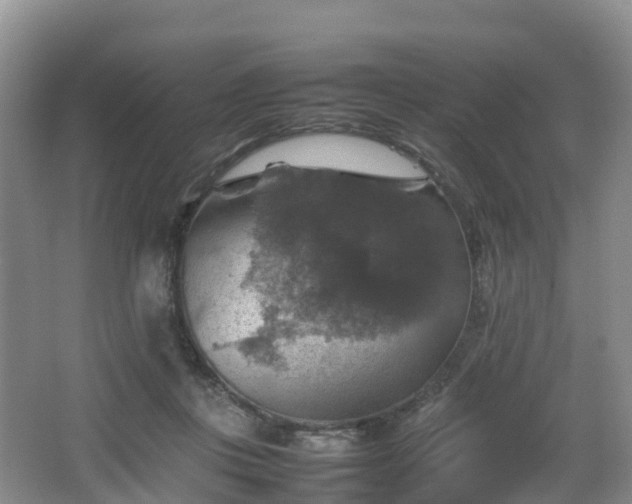 X0000067890359200604171343