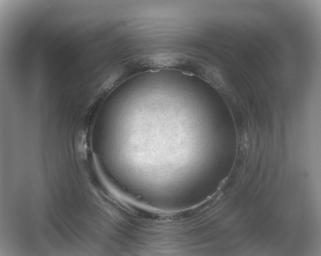 X0000067890360200604171343