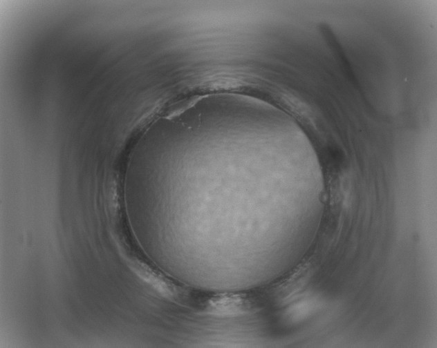 X0000067890362200604171343