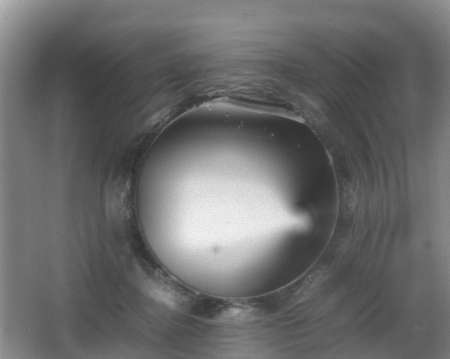 X0000067890364200604171343