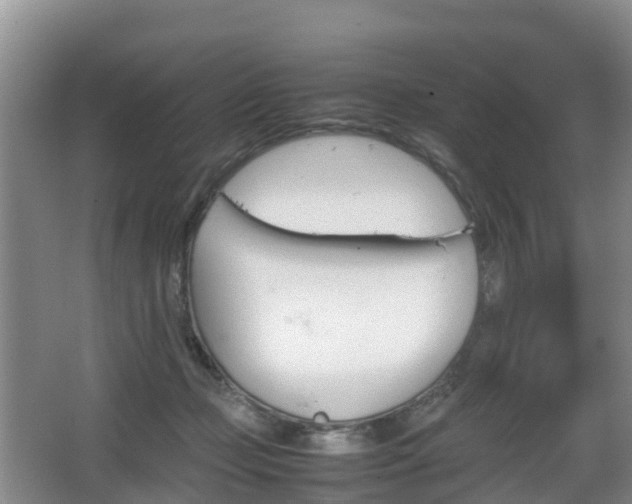 X0000067890365200604171343