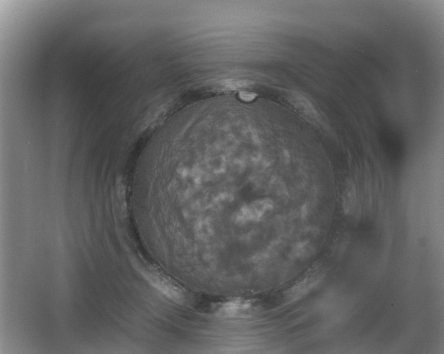 X0000067890366200604171343