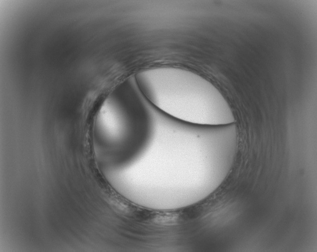 X0000067890369200604171343