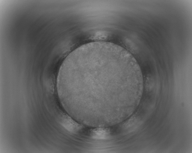 X0000067890370200604171343