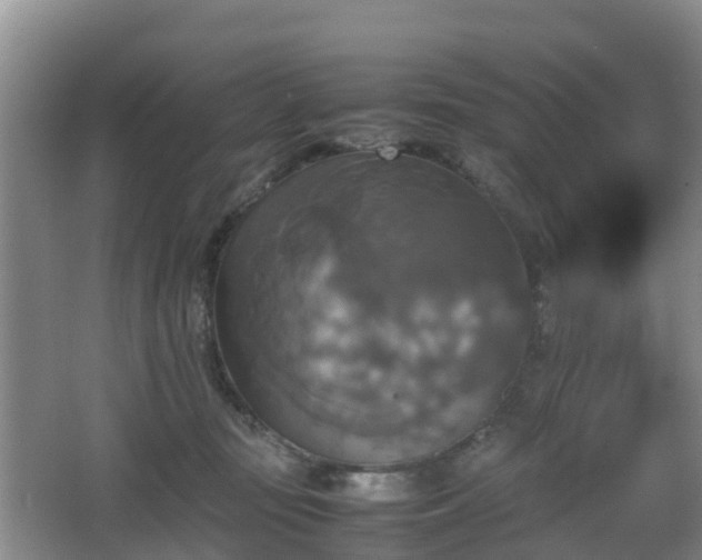 X0000067890371200604171343