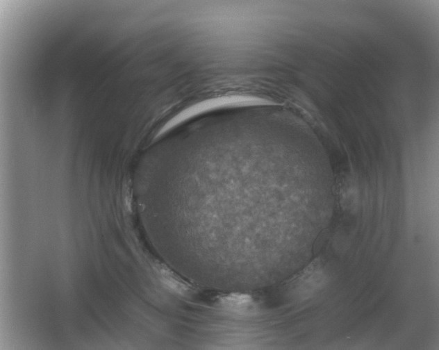 X0000067890374200604171343