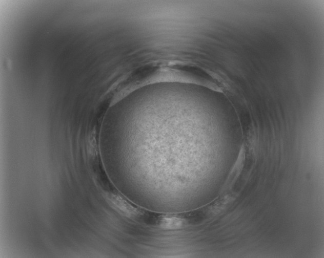 X0000067890376200604171343