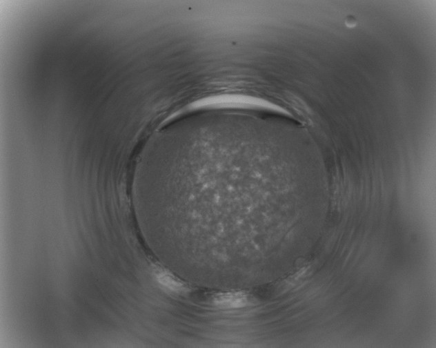 X0000067890377200604171343