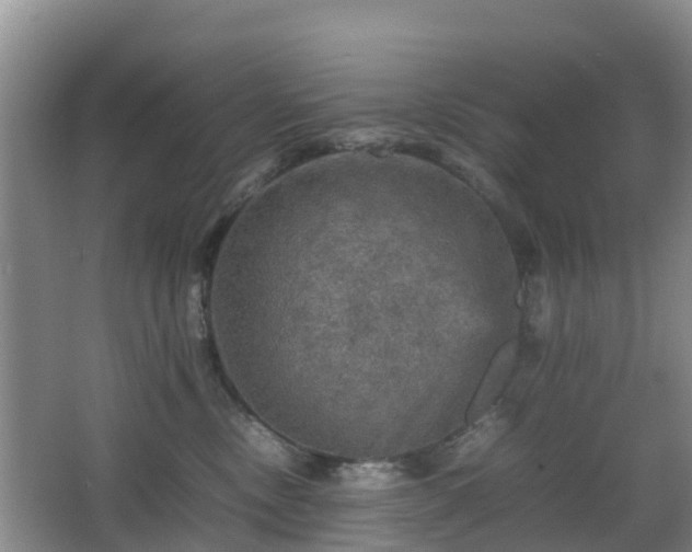 X0000067890378200604171343