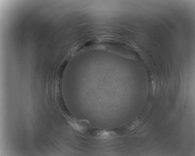 X0000067890379200604171343