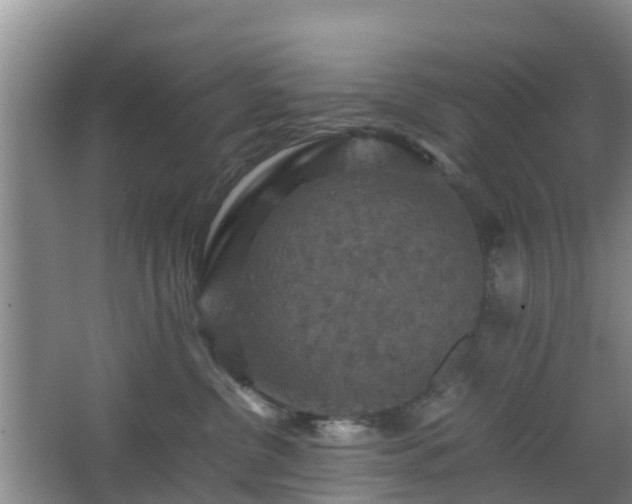 X0000067890380200604171343