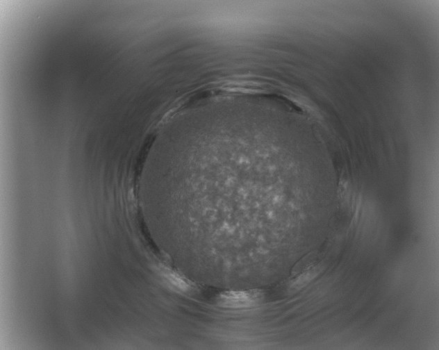 X0000067890381200604171343