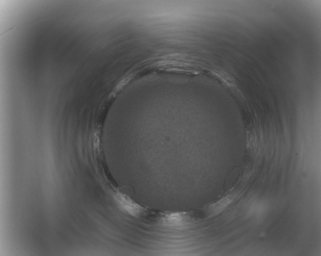 X0000067890382200604171343