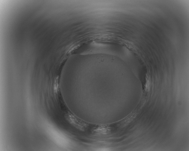 X0000067890383200604171343