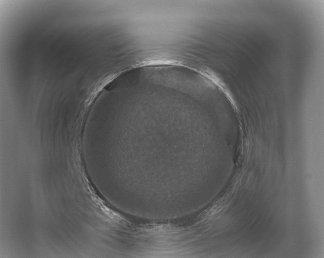 X0000067890385200604171343