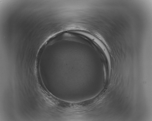 X0000067890387200604171342