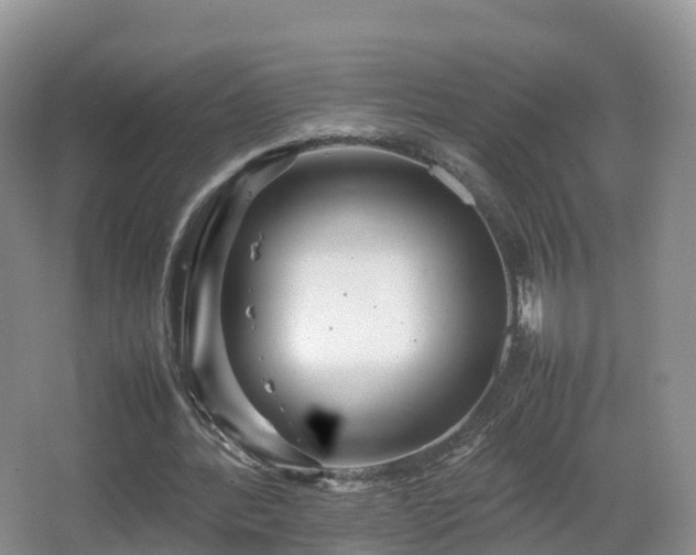 X0000067890388200604171342