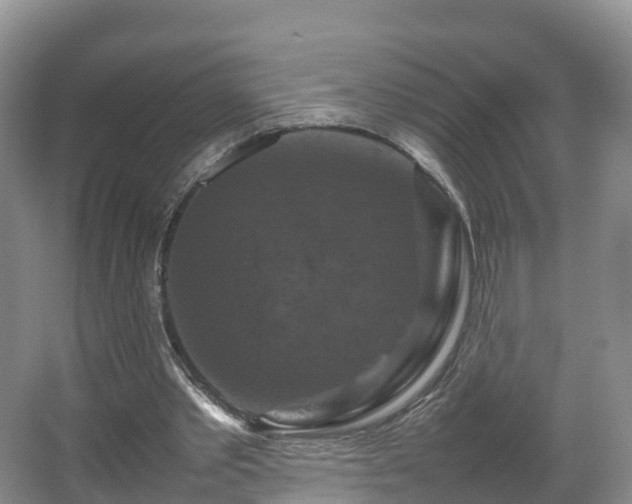 X0000067890389200604171342