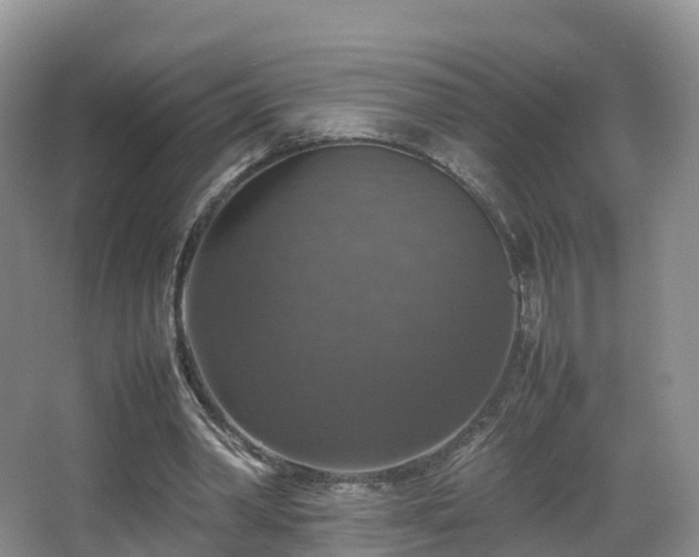 X0000067890390200604171342