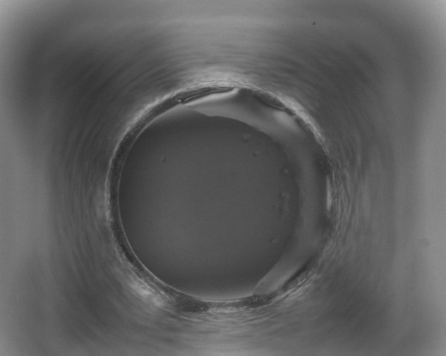 X0000067890391200604171342