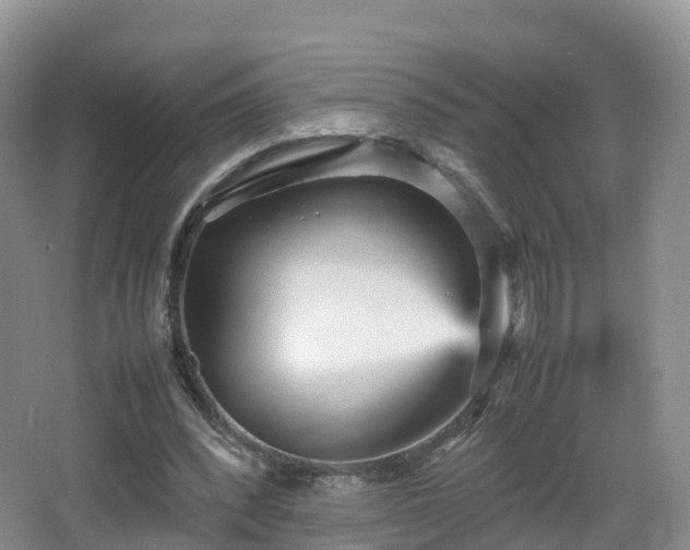 X0000067890392200604171342