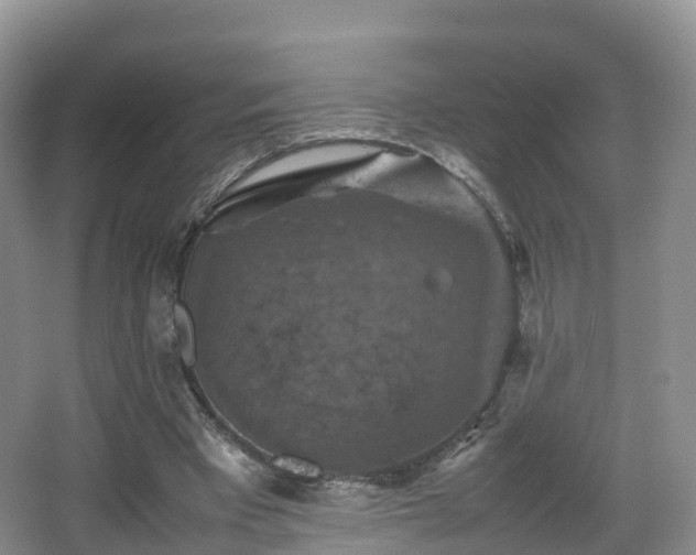 X0000067890393200604171342