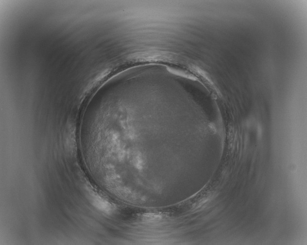 X0000067890394200604171342