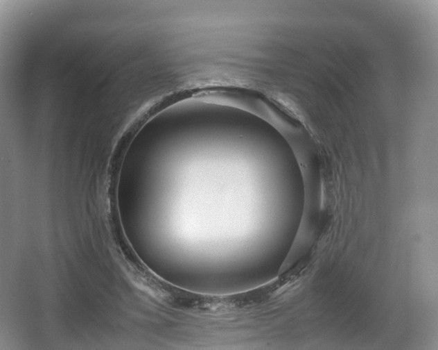 X0000067890395200604171342