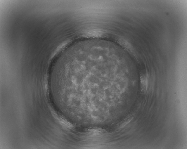 X0000067890396200604171342