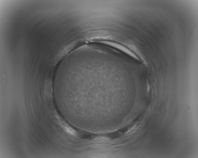 X0000067890397200604171342