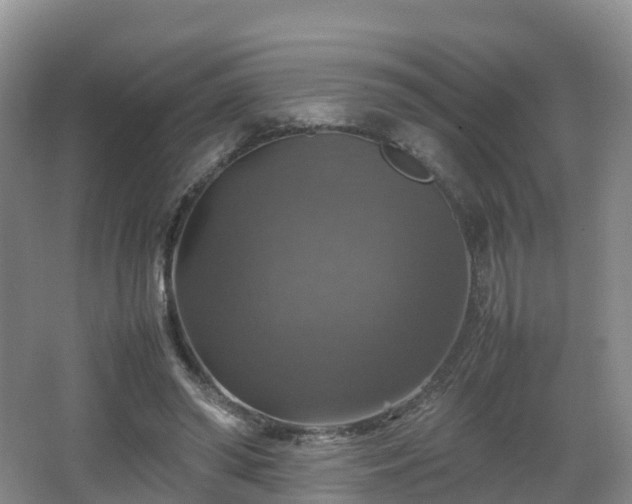 X0000067890398200604171342