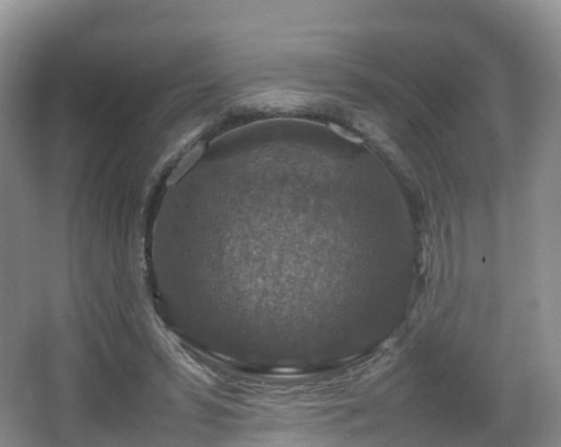 X0000067890399200604171342