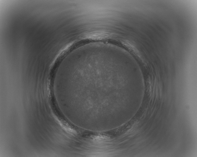 X0000067890400200604171342