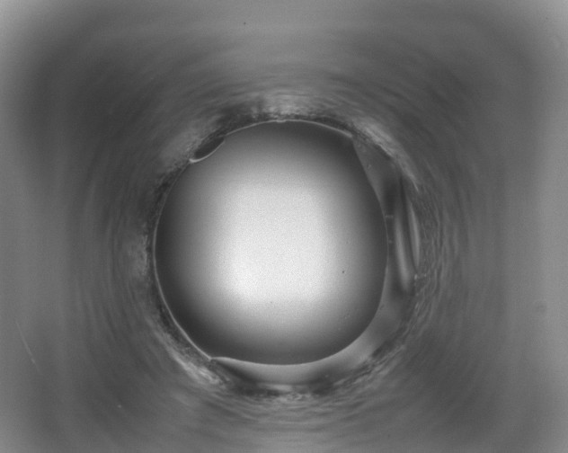 X0000067890401200604171342