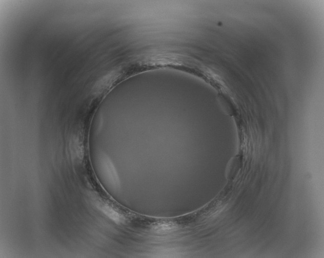 X0000067890402200604171342