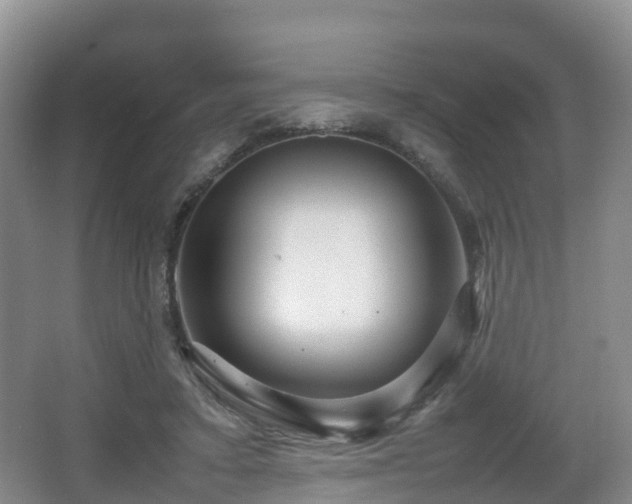 X0000067890403200604171342