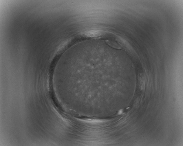 X0000067890404200604171342