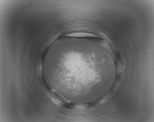 X0000067890405200604171342