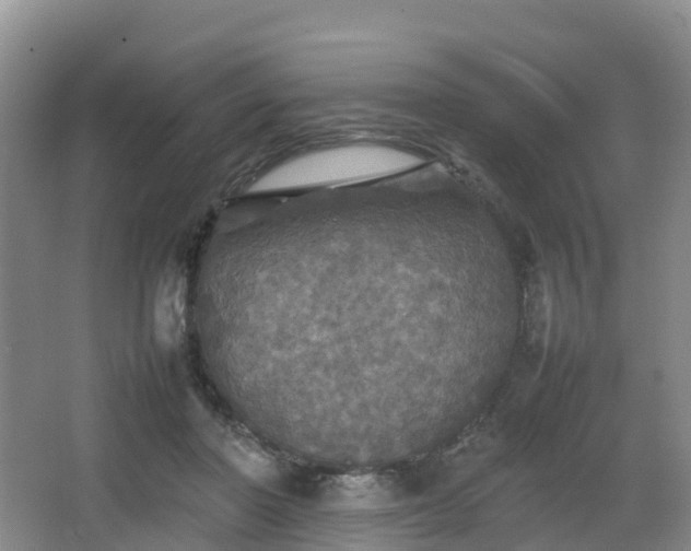 X0000067890406200604171342