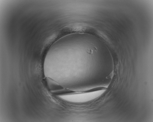 X0000067890407200604171342