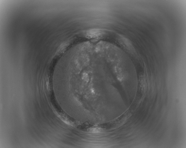 X0000067890408200604171342