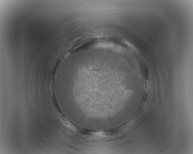 X0000067890409200604171342