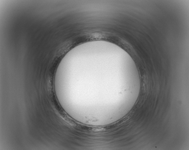 X0000067890410200604171342